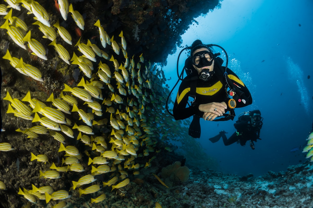 Red Sea Diving & Snorkeling
