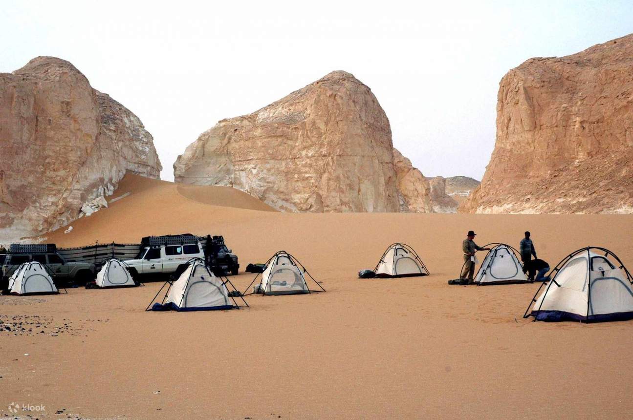 White Desert Safari & Camping