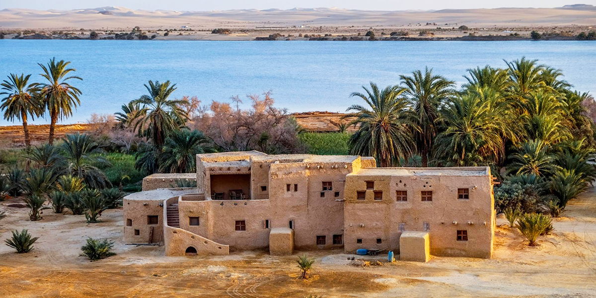 Siwa Oasis Stargazing Tour 2